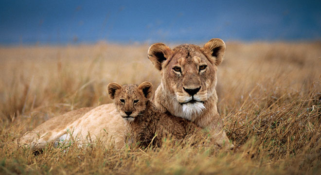 Itinerary-TanzaniaExpedition_header_2012
